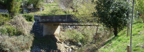 DSC00401.JPG